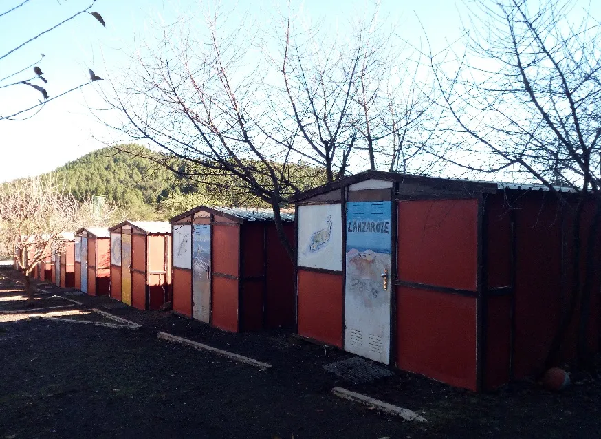 Hilera de casetas de colores junto al pinar